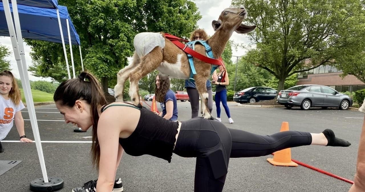 Unwind with Baby Goats: Yoga and Bottle Feeding at Puddler's Kitchen & Tap in Ambler, PA
