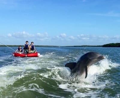 Water Activities with Eco Endeavors at Breakwater