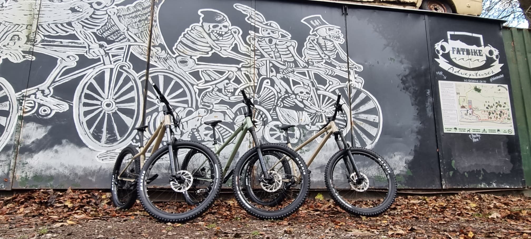 Mountain Biking with Fatbike Adventures in County Wicklow