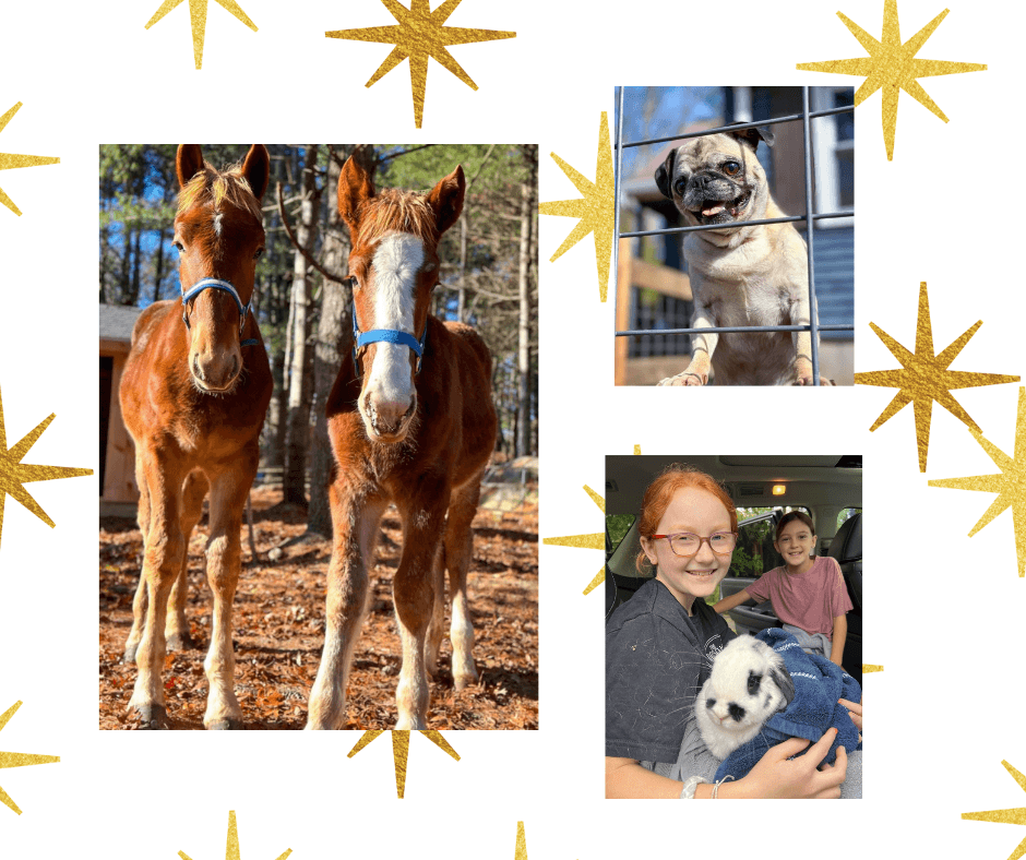 Family Outdoor Education at Little Patch of Heaven Sanctuary