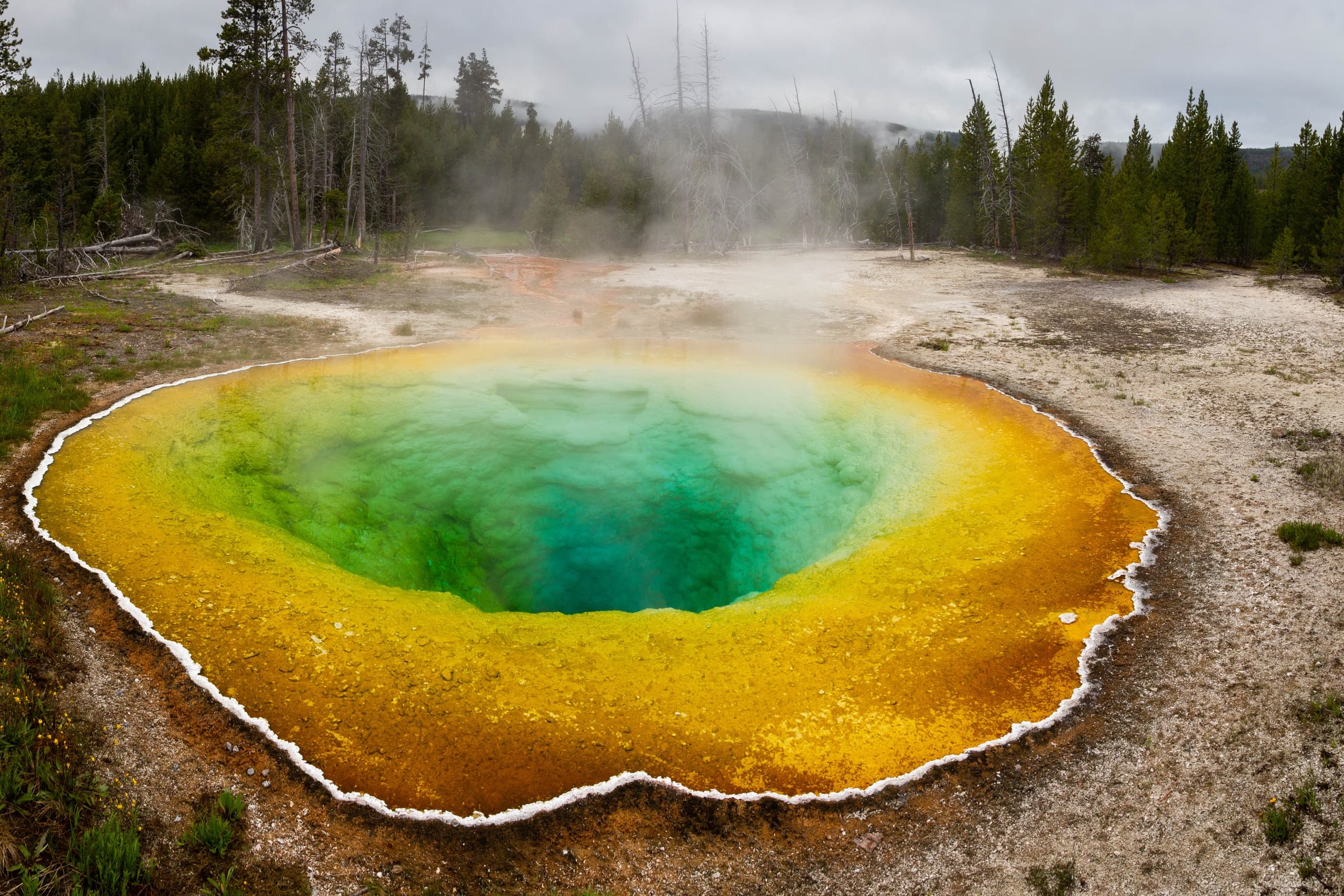 Yellowstone National Park Private Day Tour | Private in Jackson, Wyoming