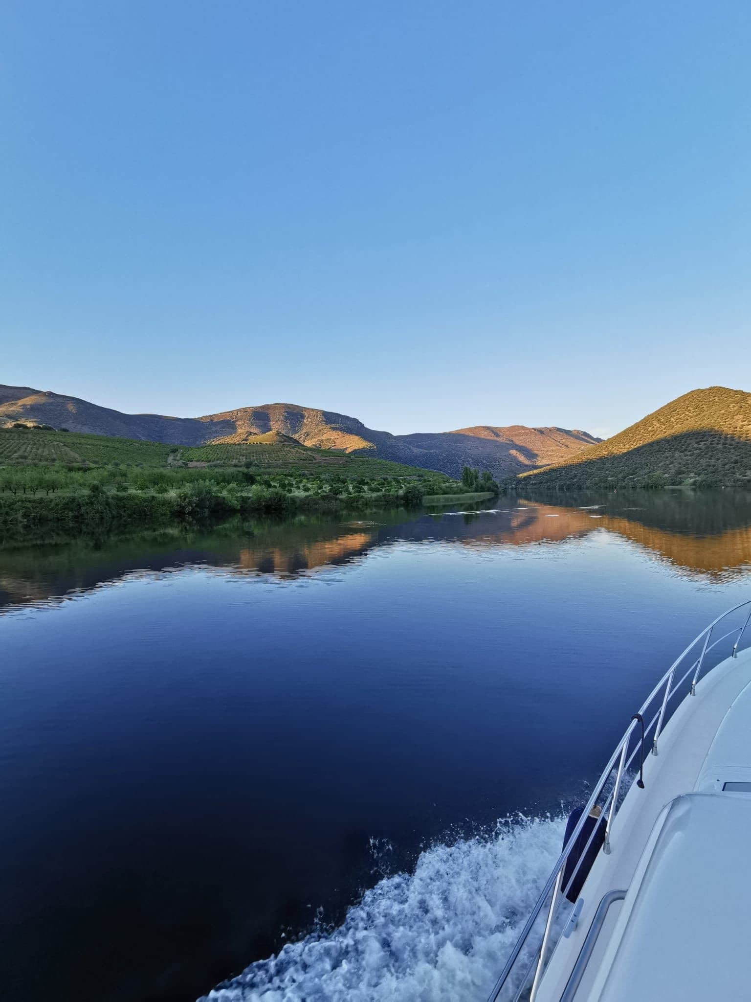 Douro River Luxury Cruise with Sailing 360 in Porto