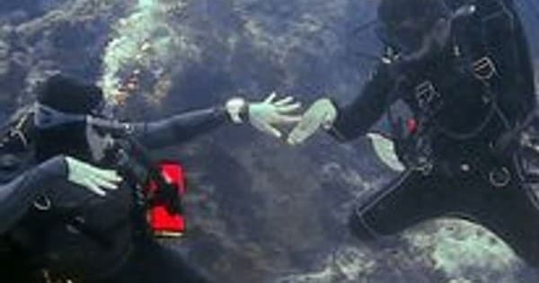 Train for Nitrox Dives in Avalon: Catalina Nitrox Specialty Course with Two Dives