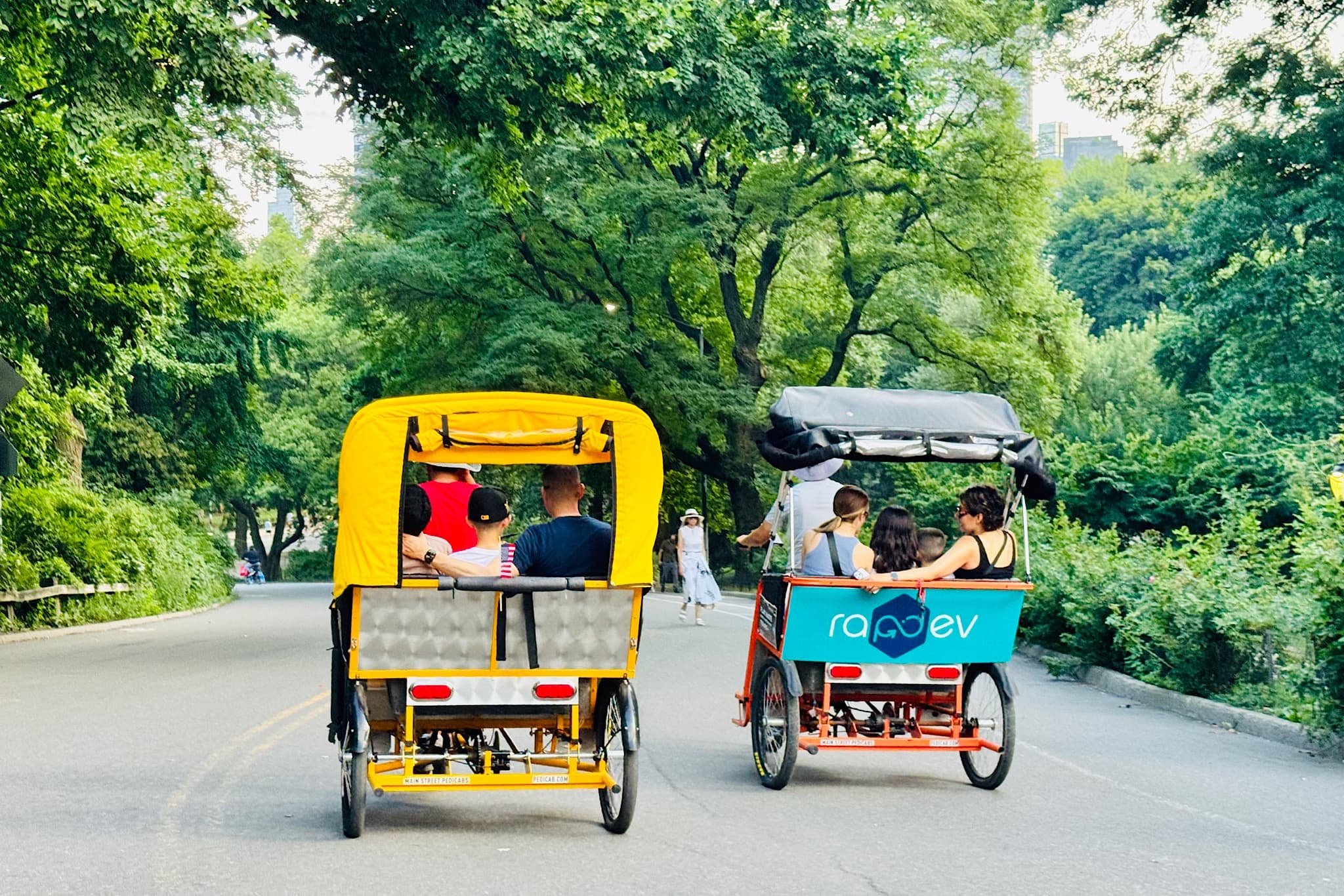 Pedicab drivers cruising a tree-lined Central Park roadway