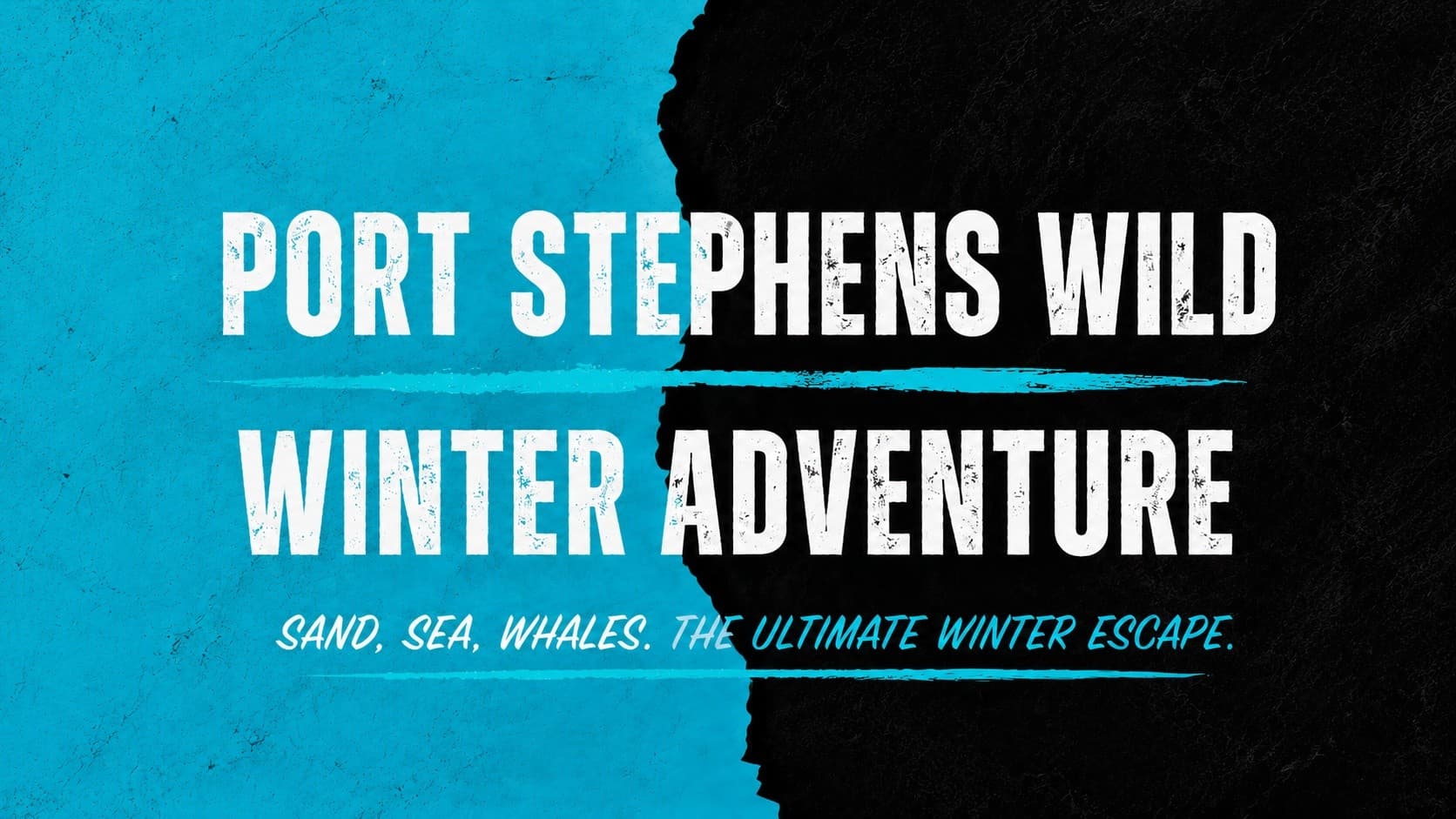 Whales to Dunes: Port Stephens Wild Winter Adventure in Anna Bay