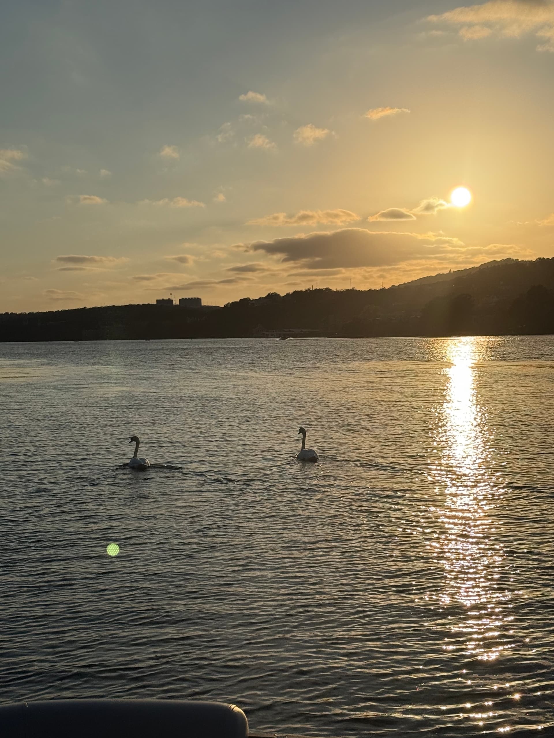 Lake Austin Sunset Cruise: 1-Hour Public Boat Ride to Mount Bonnell Views photo 3