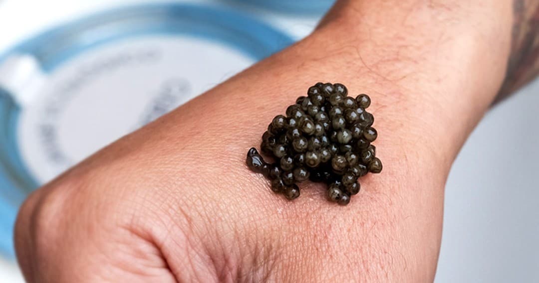 Caviar Tasting Experience | Food Tour in Riofrío | Farm