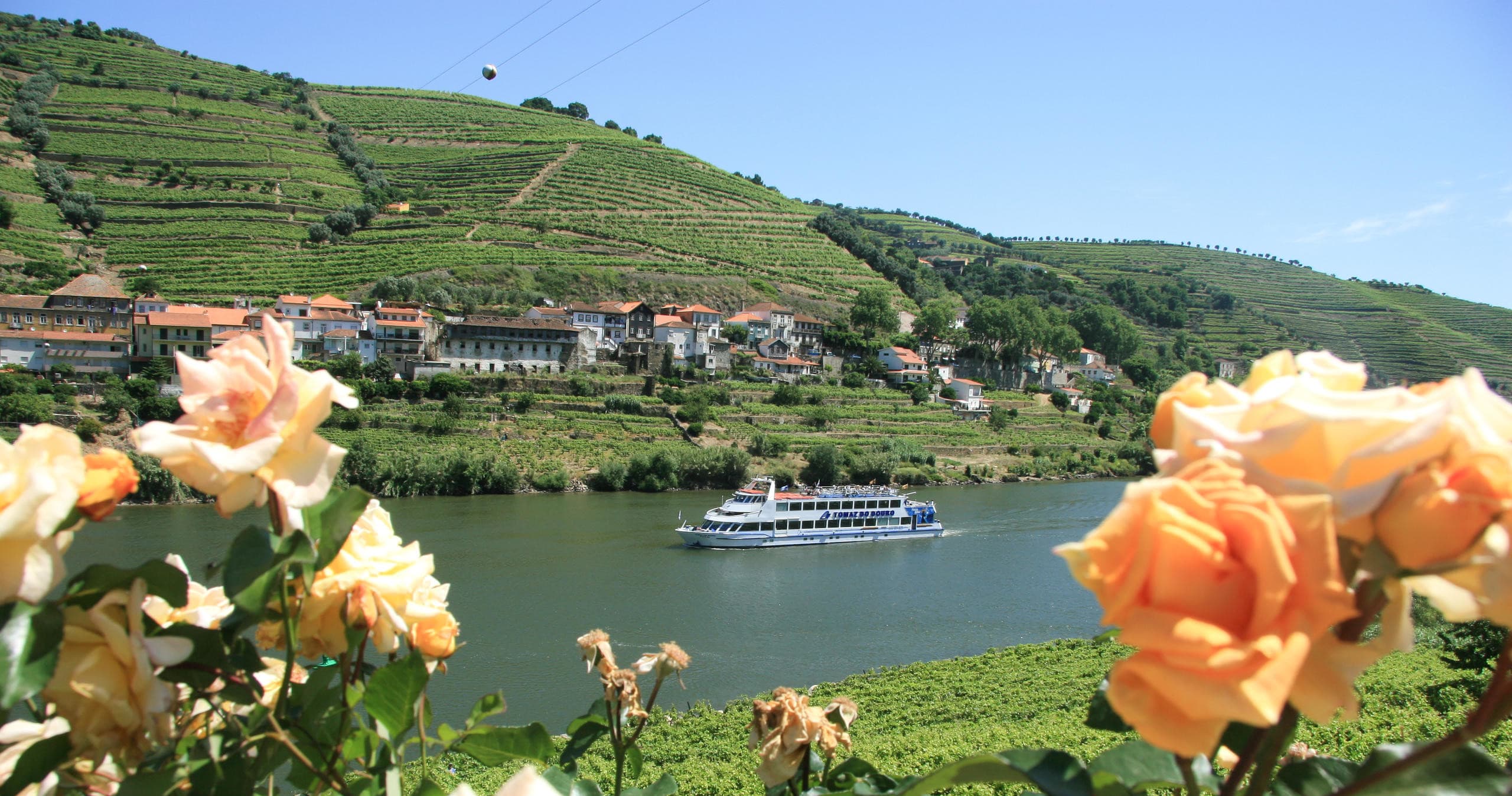 River Cruise Adventure with Tomaz do Douro in Porto