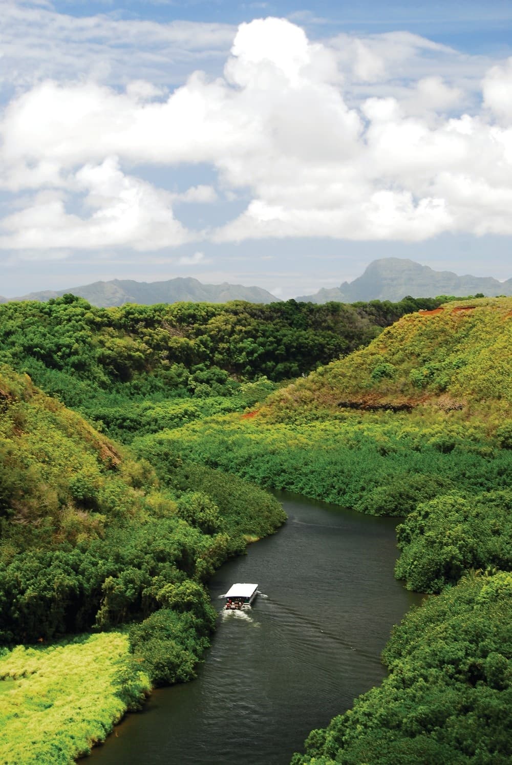 Waimea Canyon & Wailua River Tour from Oahu, Hawaii