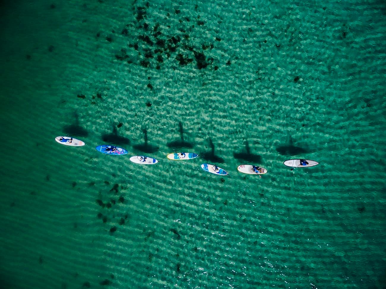 Aerial line of stand up paddleboarders over clear green ocean
