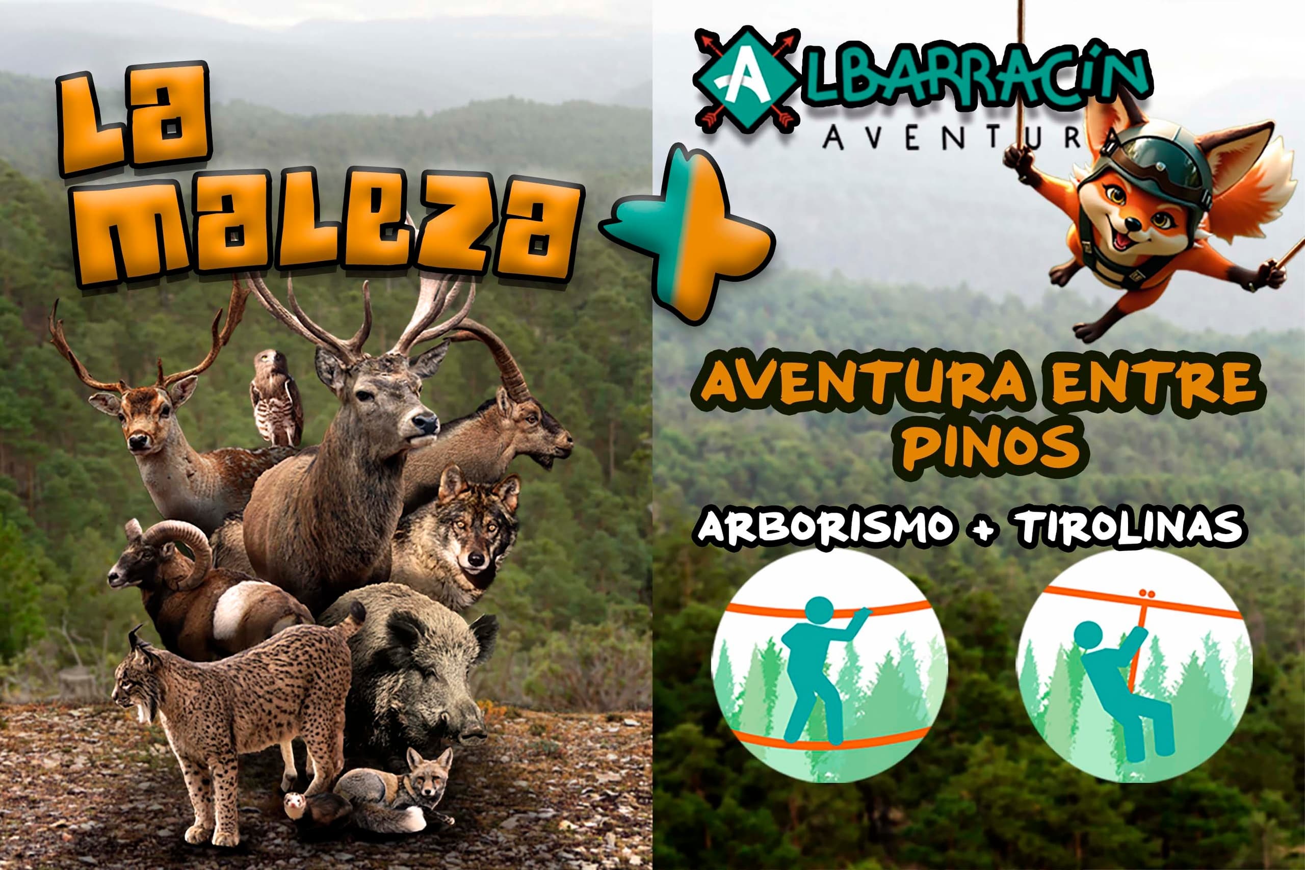 Wildlife & Adventure at Albarracín Aventura