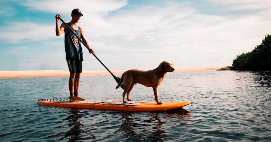Explore Seattle’s Waterways with Flexible SUP Hourly Rentals