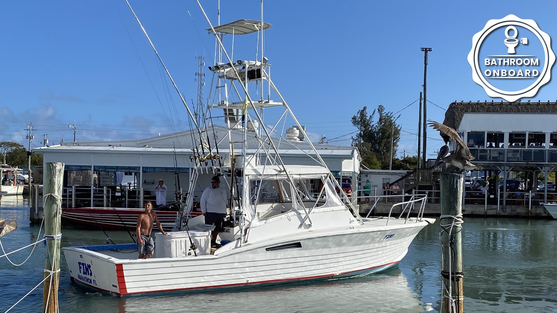 Sunset Shark Chumming with Manic SportFishing in Marathon