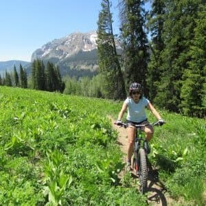 Evergreen Wilderness Guides fleet
