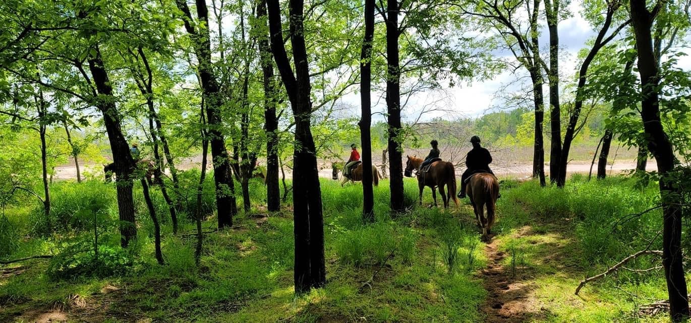 Explore Scenic Riverfront Trails on a 90-Minute Private Adventure Horseback Ride at Honey Lee Ranch