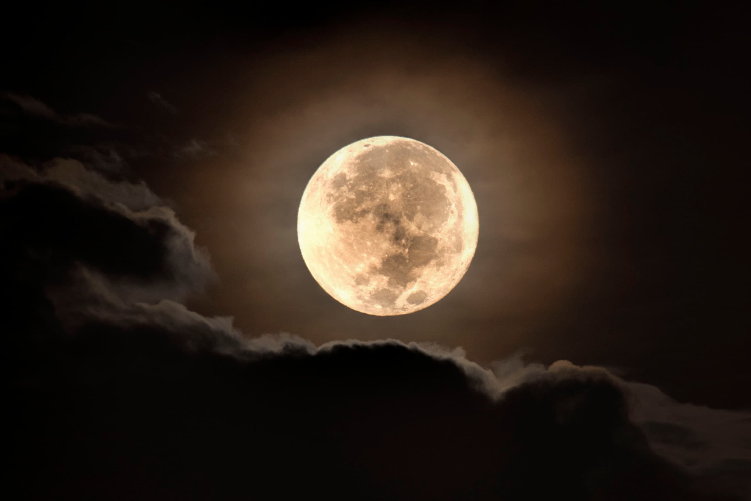 Full Moon Cruise in Jupiter, Florida – Magical Night Boat Tour