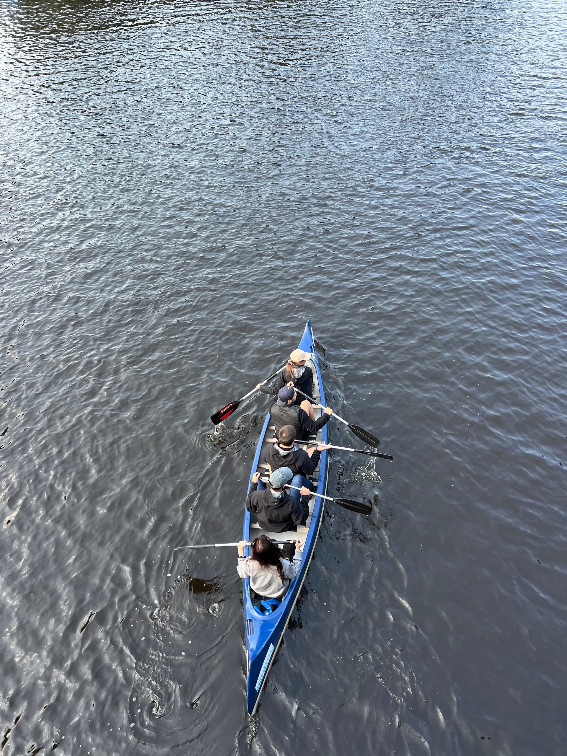 Paddle-and-Burger: Kanu & Burger Alster-Tour from KanuHelden in Hamburg photo 2