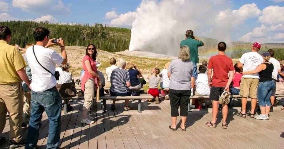 Experience Yellowstone Tours fleet