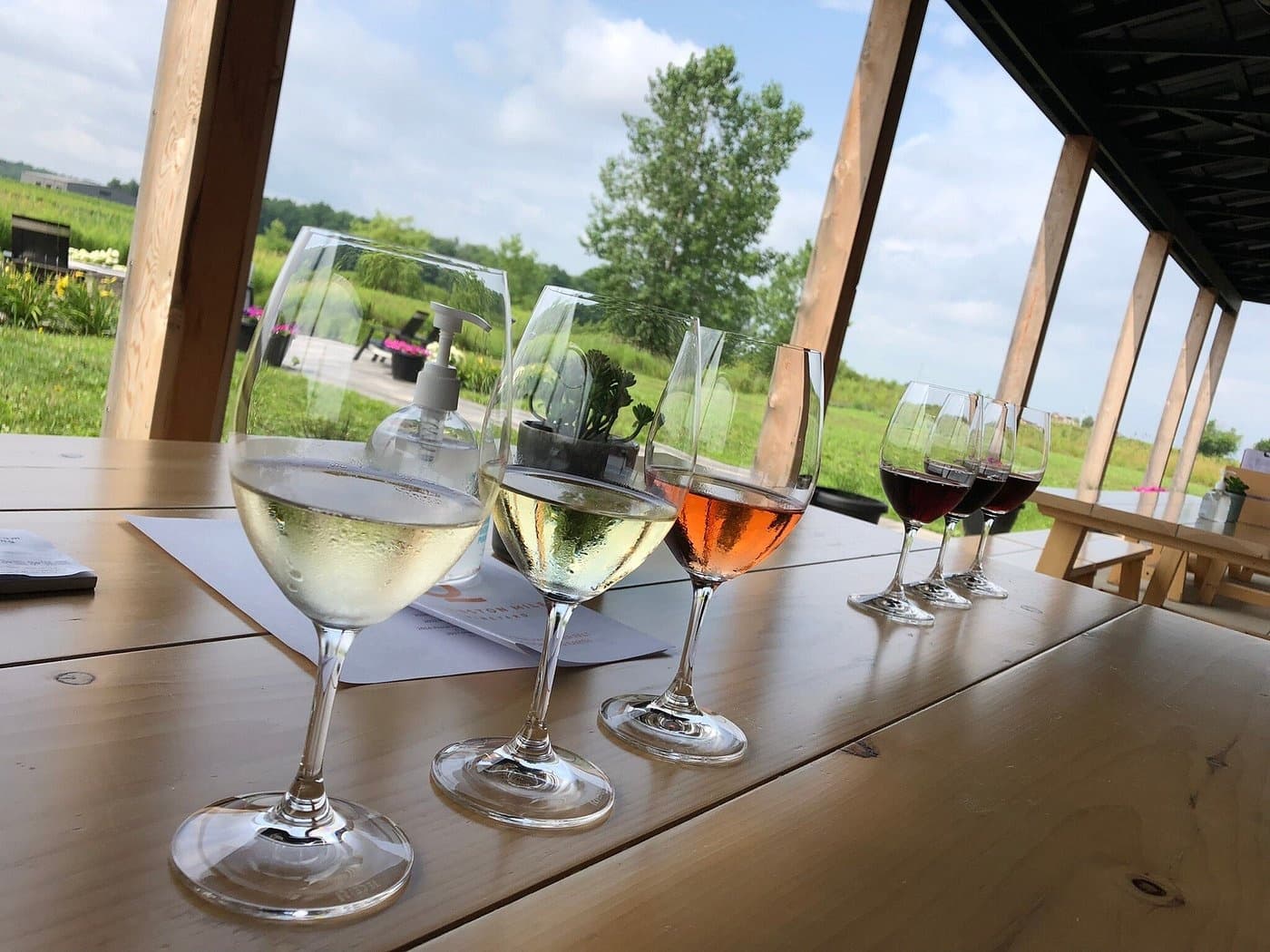 Wine Tasting & Tours Business at Niagara Wine Tours