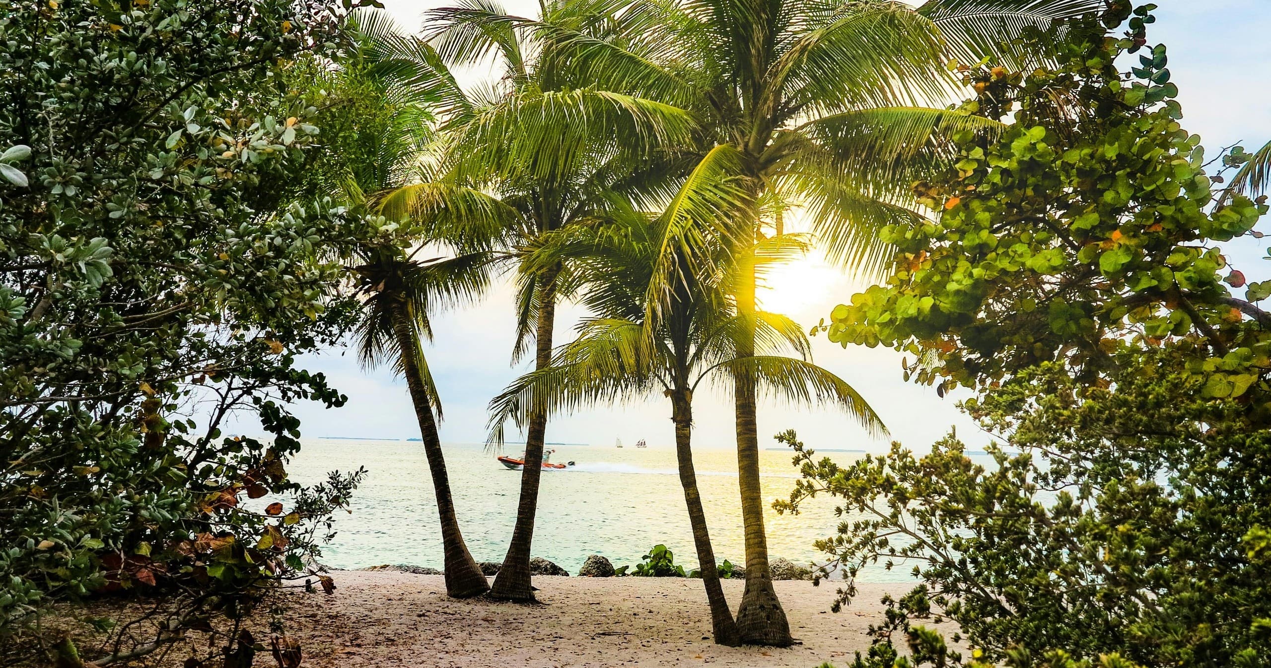 Southernmost Saunter: Key West Walking Tour & Tastings