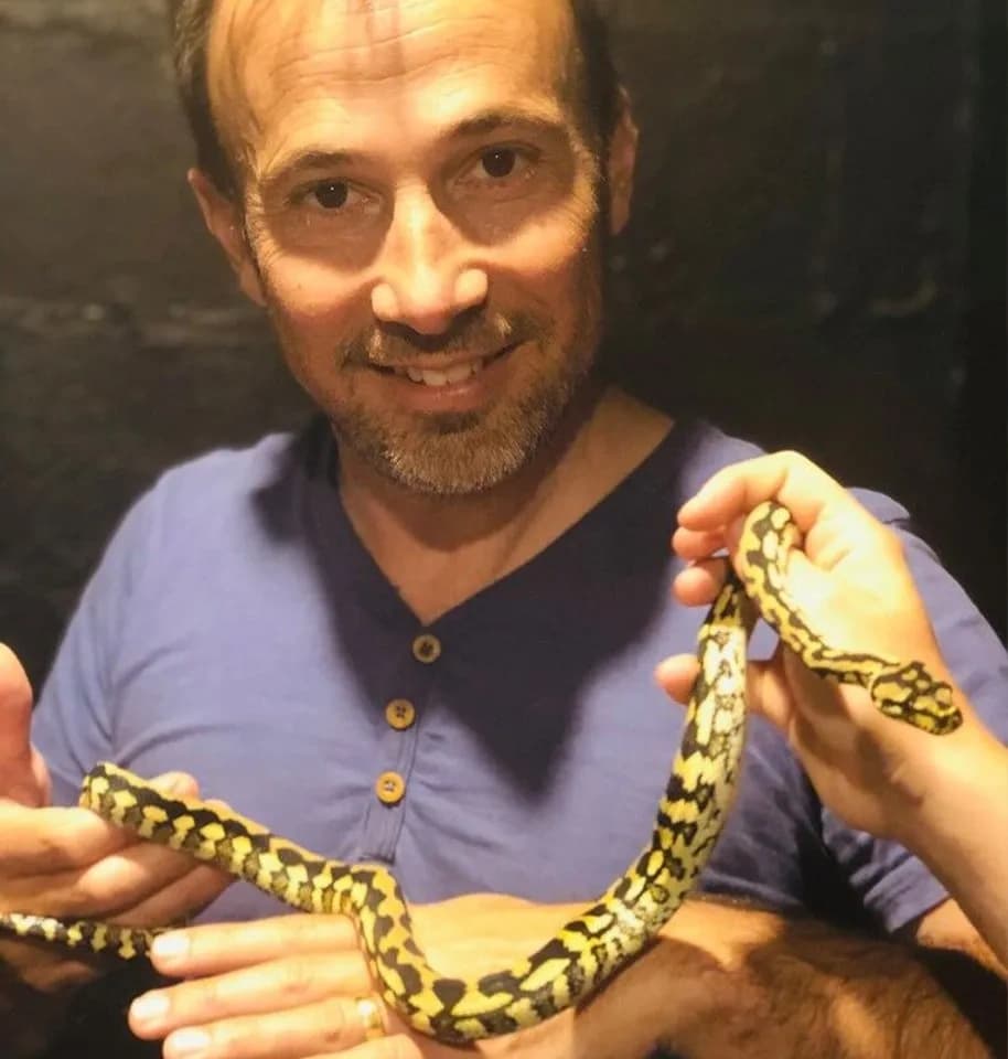 Wildlife & Reptile Adventures at Wings Wildlife Park