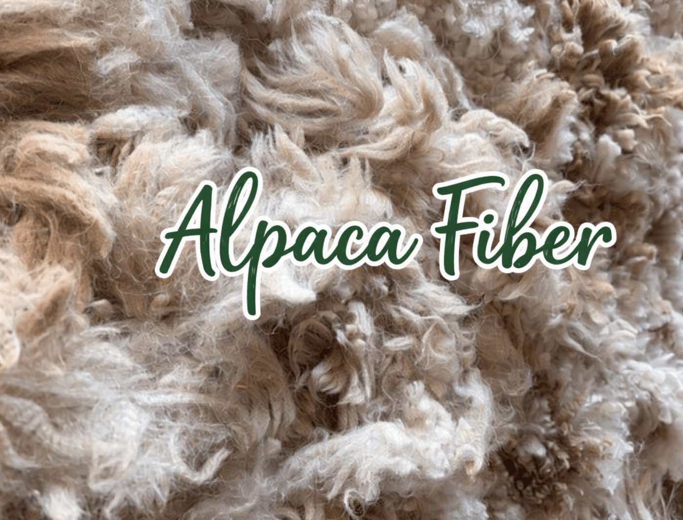 Stitching Shelter: Alpaca Fiber Nesting Ball Workshop in Montgomery, NJ