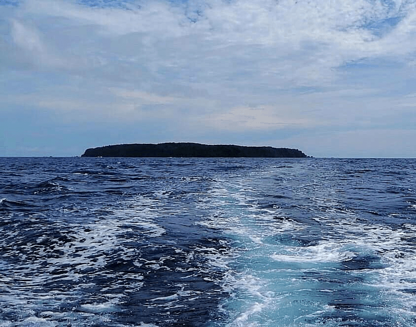 Water Activities & Wildlife Adventure at Isla del Caño