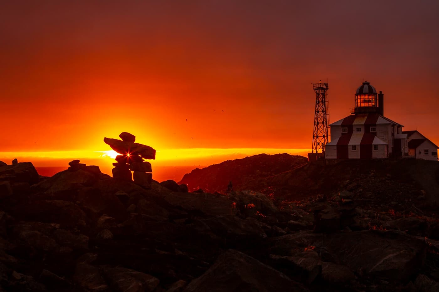 Newfoundland Photo Tours fleet