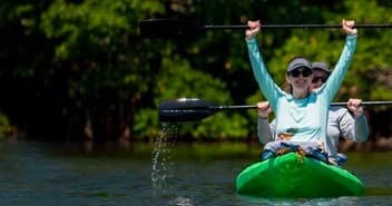 Tandem kayakers paddling through lush mangroves on river