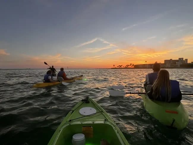 LED Glass-Bottom Kayak Night Tours in Sarasota: Manatees, Mangroves & Skyline Views photo 2