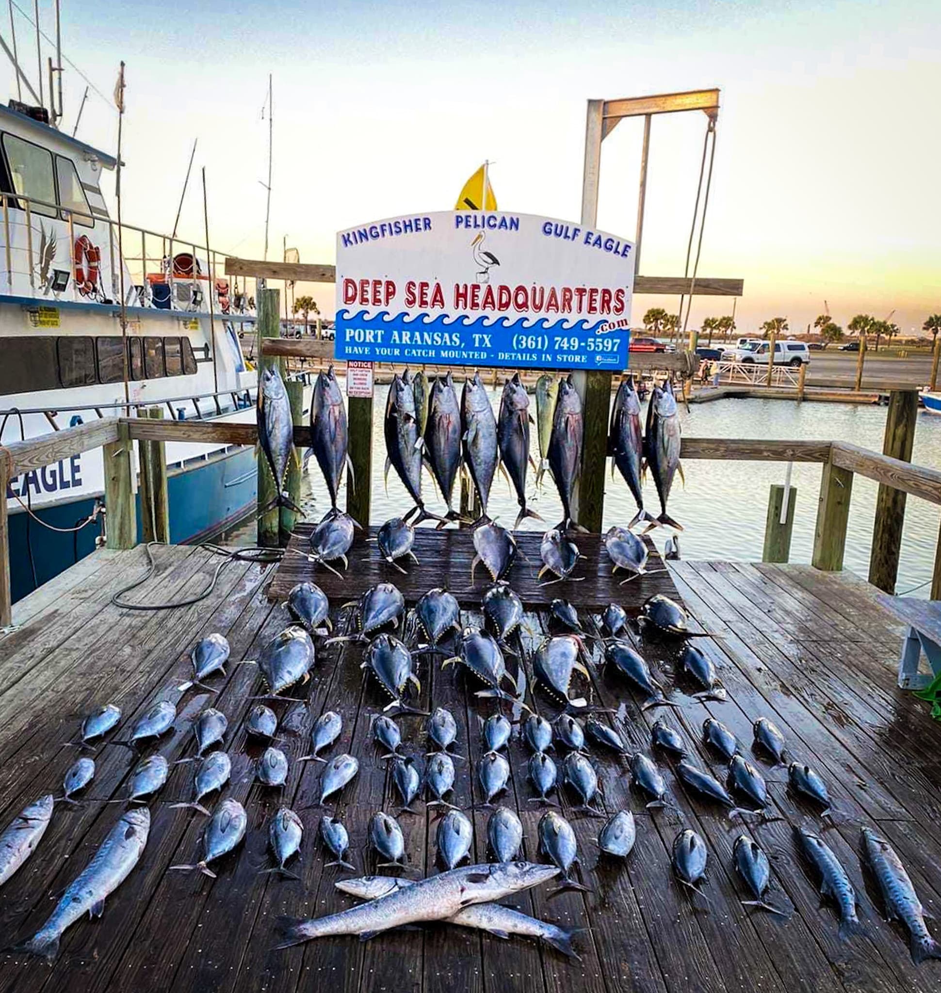 Deep Sea Fishing with Captain Kelly's at Floater Rigs