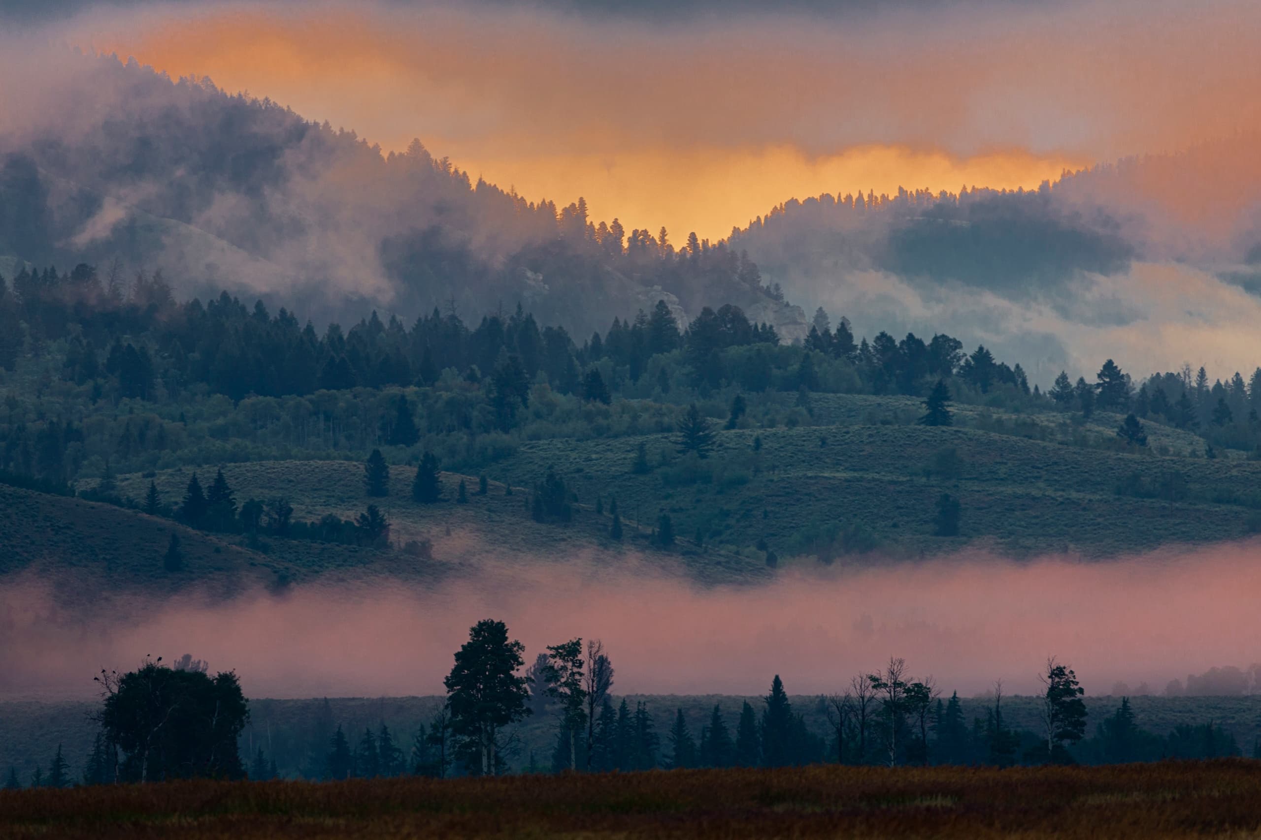 2 Hour Guided Hike | Hiking in Moran, Wyoming