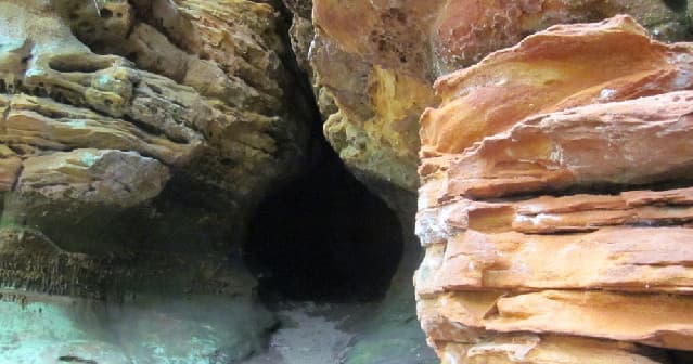 Land Adventures: Little Rocky & Sheick Hollow Preserve Trek