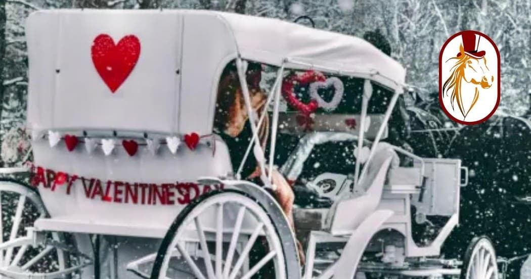 Romantic Central Park Carriage Ride with Photo Stops on Valentine's Day