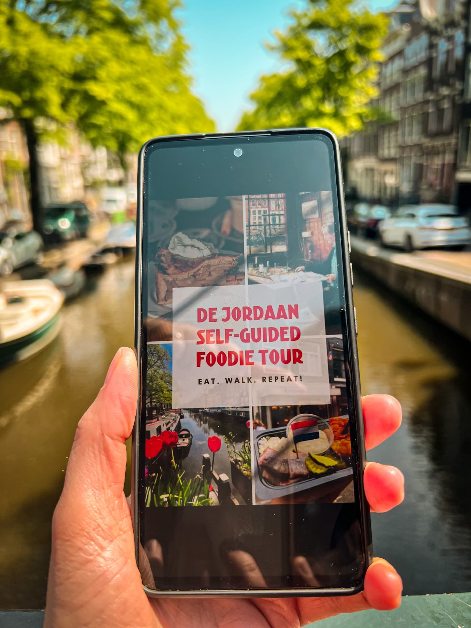 Dutch Food Journey with Who Is Amsterdam Tours in De Jordaan
