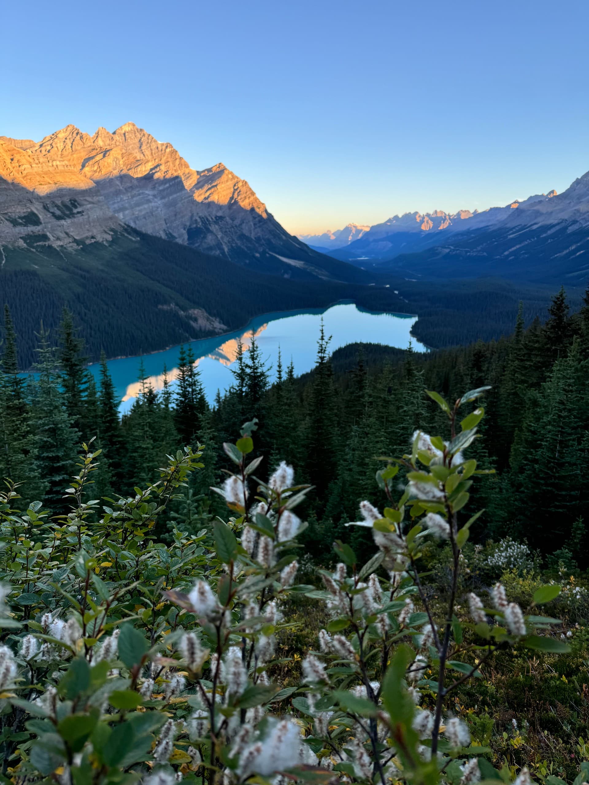 Icefields Parkway Photography Tour: Peyto, Bow Lake & Mistaya Canyon