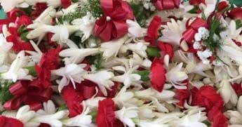 Leis From Hawaii: Fresh Floral Tradition in Honolulu