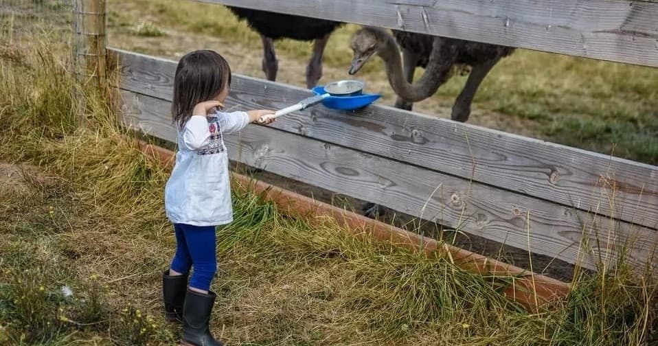 Farm Tours at Triskelee Farm | Unique Animal Encounters & Tipsy Tours