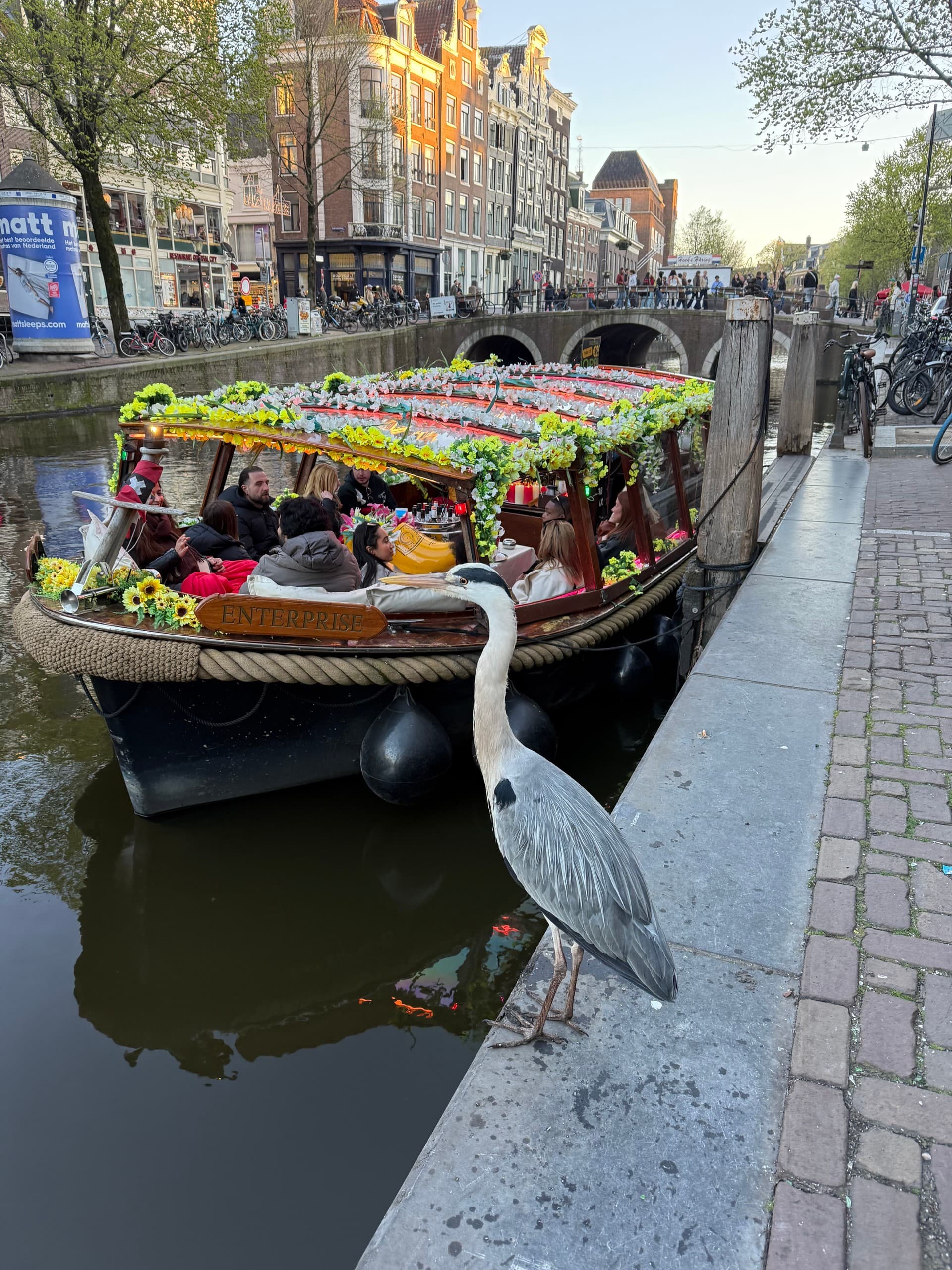 Flower Boat: A Refined Electric Canal Cruise Through Amsterdam