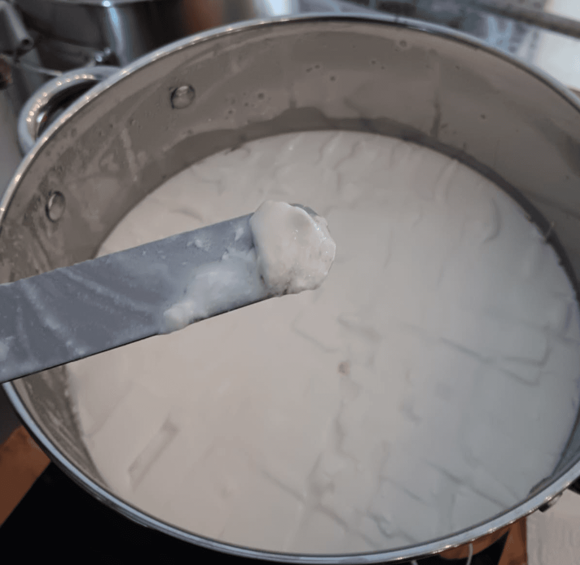 Hands-On Cheese Making Workshop in London: Make Three Cheeses in One Day photo 3
