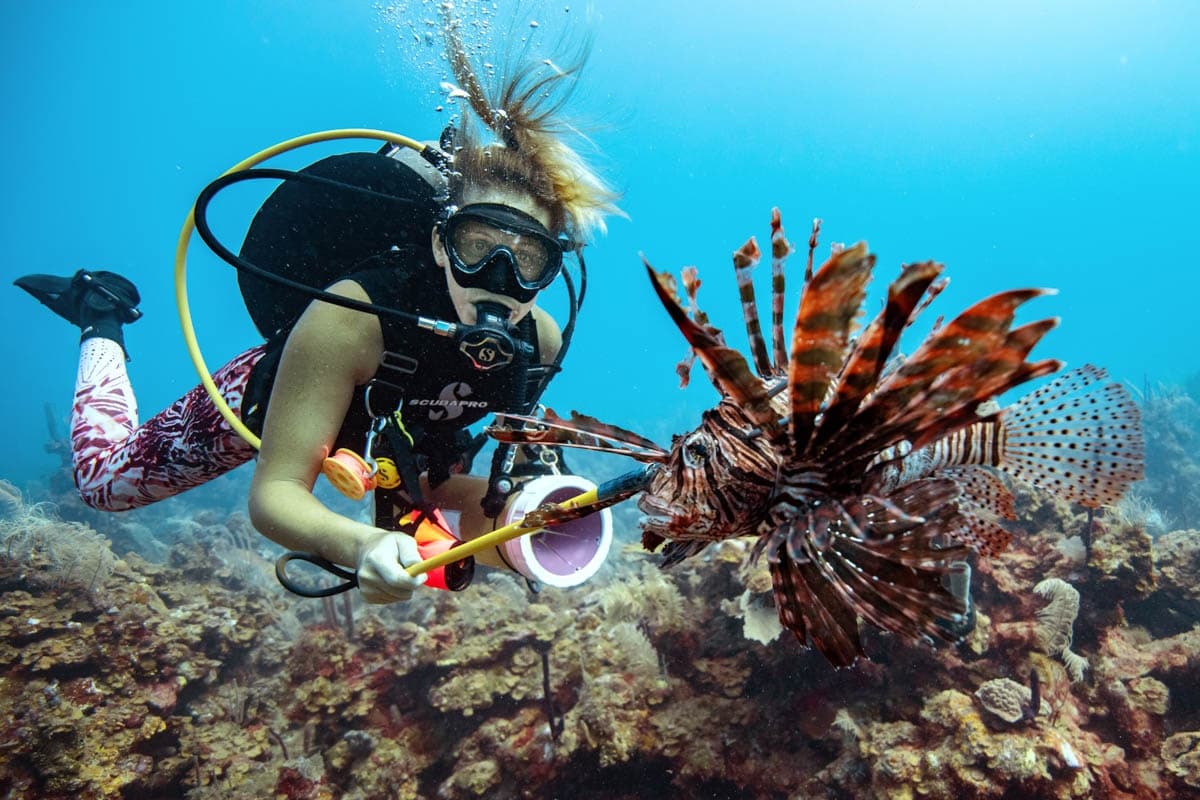 Utila Lionfish Hunting Trip: 7-Night Dive & Conservation Expedition (April 10–17, 2027) photo 3