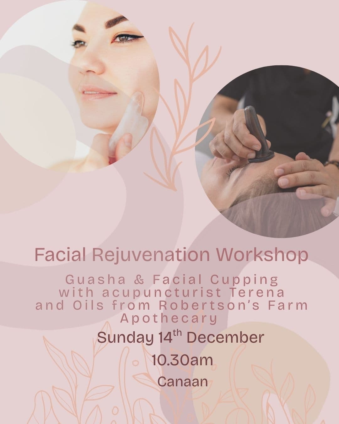Facial Rejuvenation Workshop in Kentville: Guasha, Facial Cupping & Ear Seeds