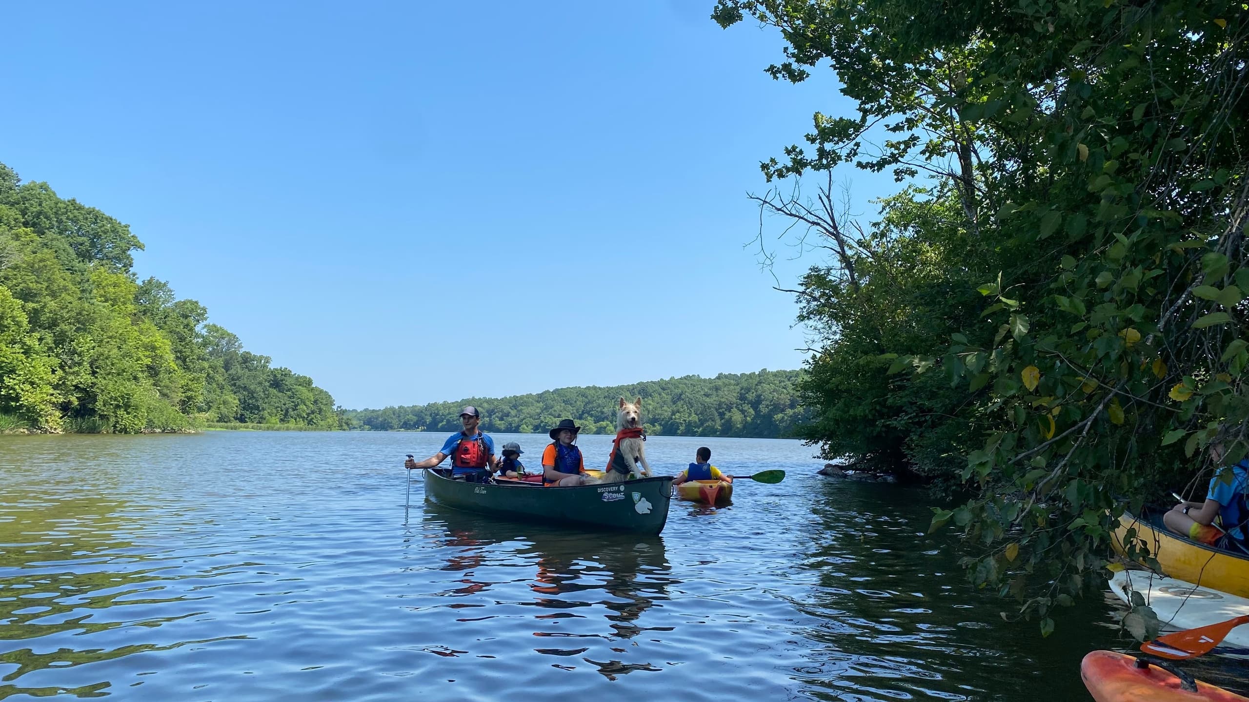 Goose Island Loop: Family-Friendly Flatwater Paddle on Saxapahaw Lake photo 4
