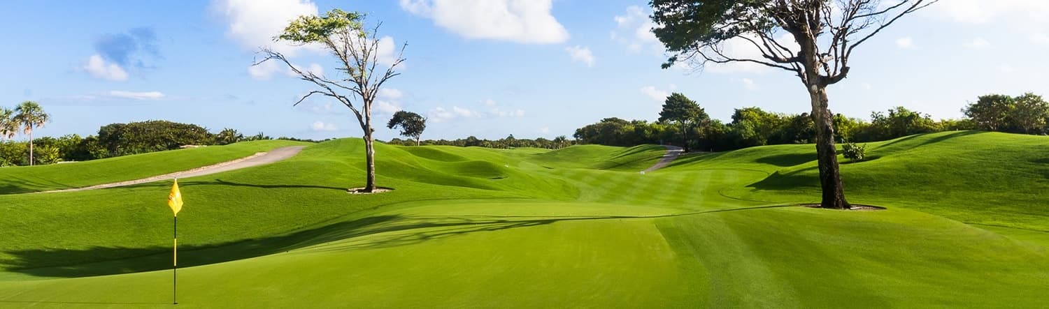 Golfing at Iberostar Playa Paraiso: A 4-Hour Coastal Escape from Cancun