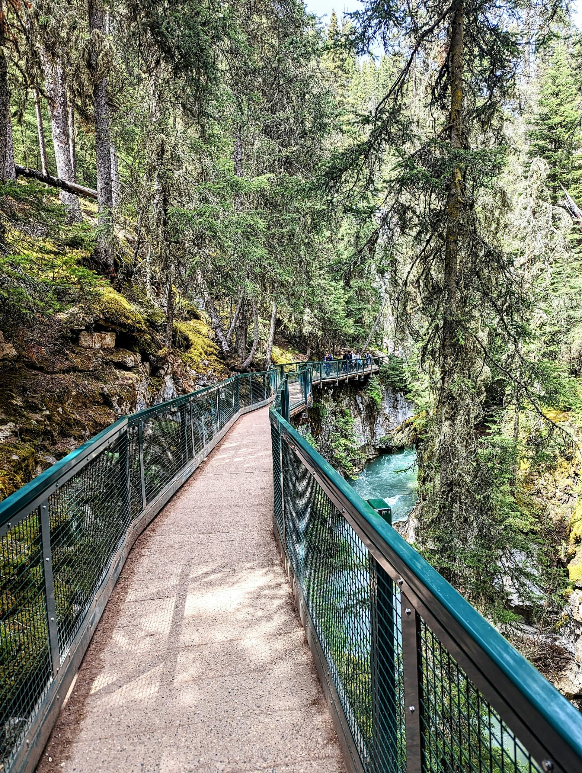 Johnston Canyon Evening: Our Popular Shared Experience