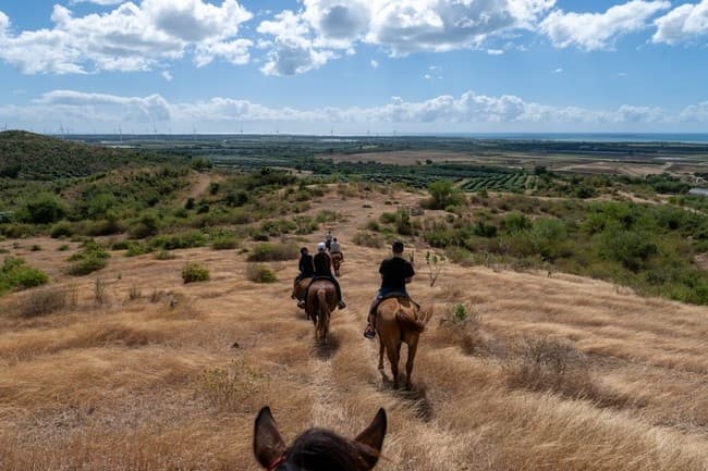 Southern Horseback Riding Adventure Near San Juan, Puerto Rico