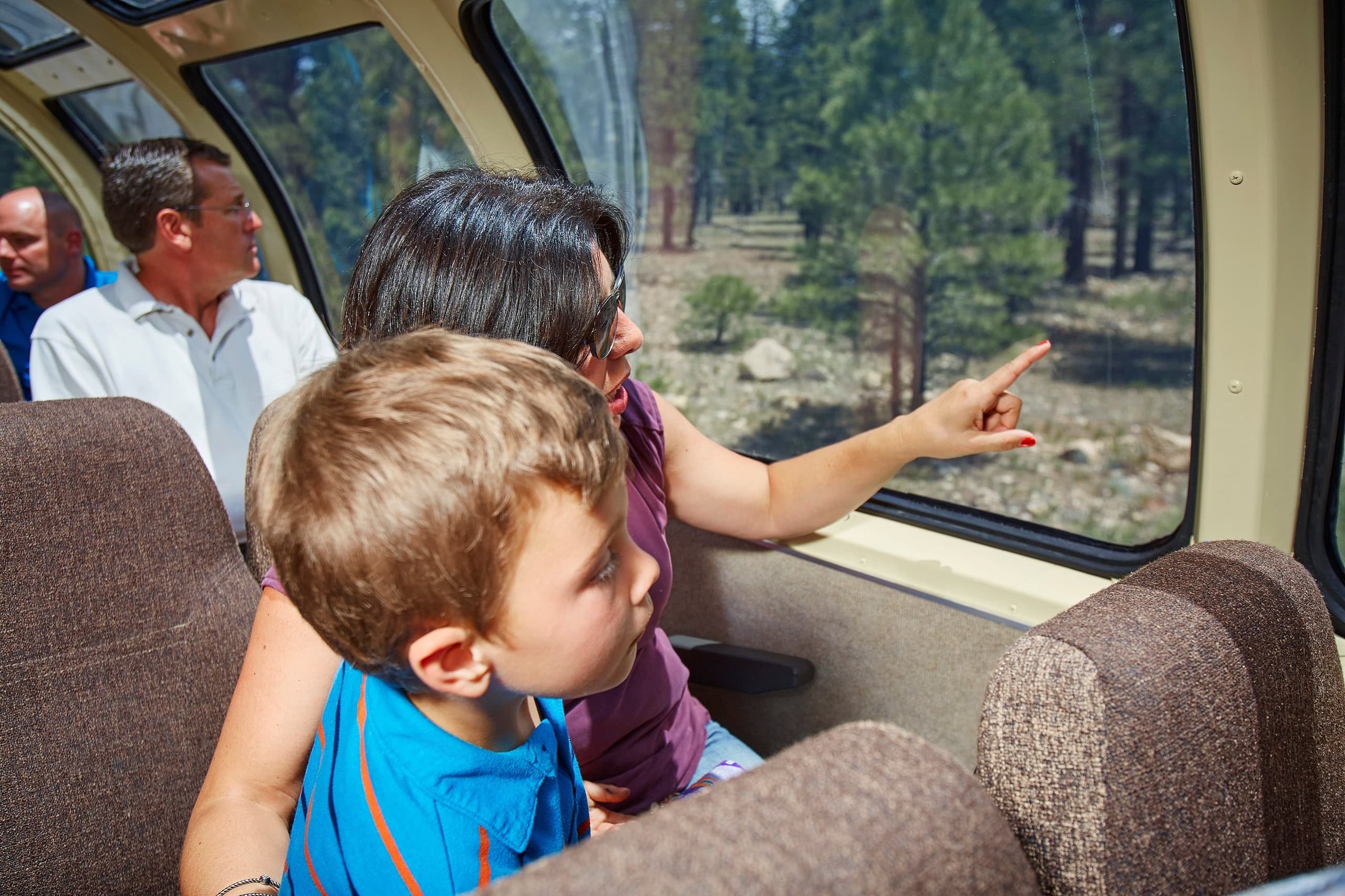 Observation Dome at Grand Canyon Village: Panoramic Train Views of the Canyon photo 1