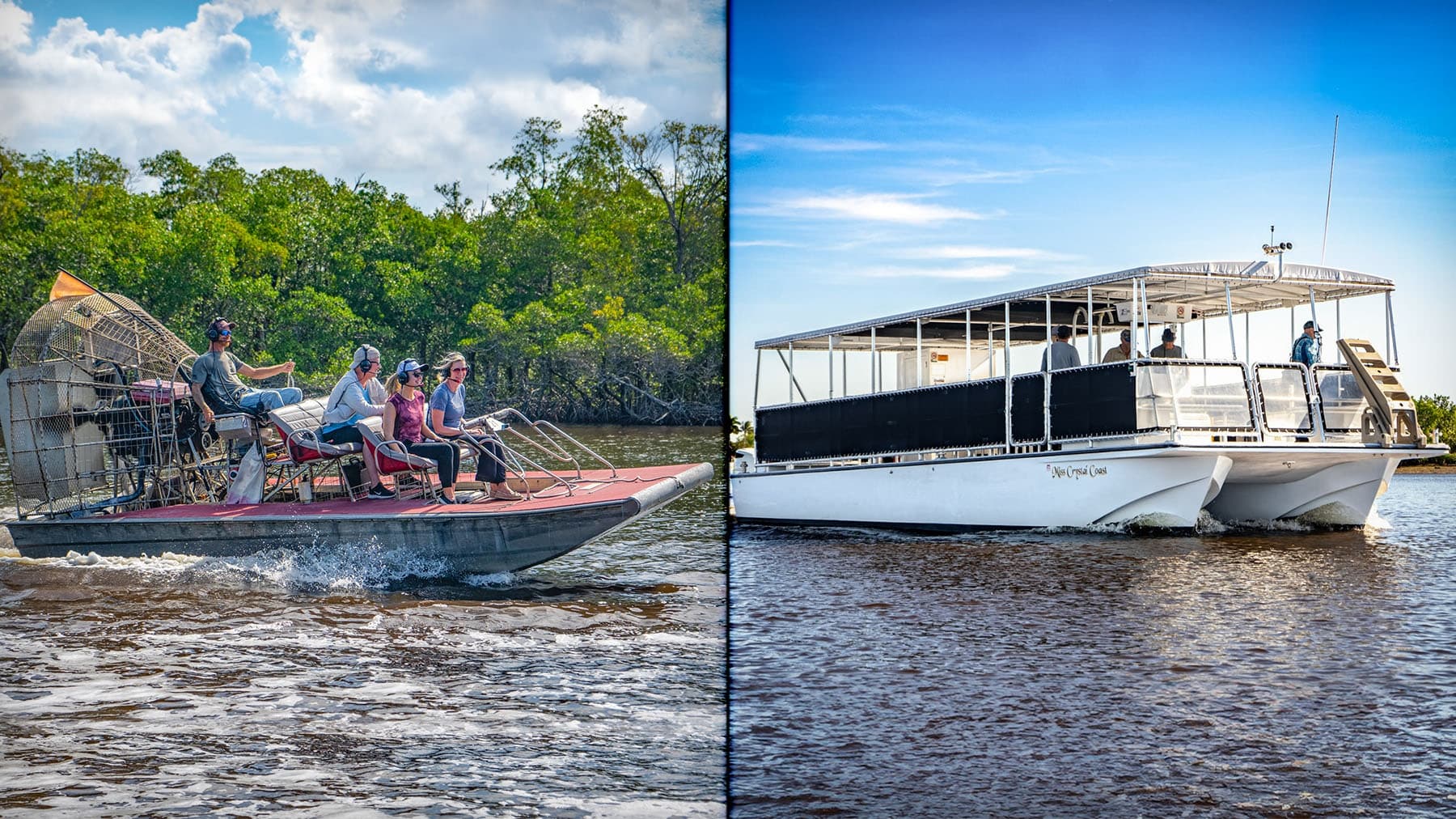 Mangrove Tunnel & National Park Combo in Everglades City