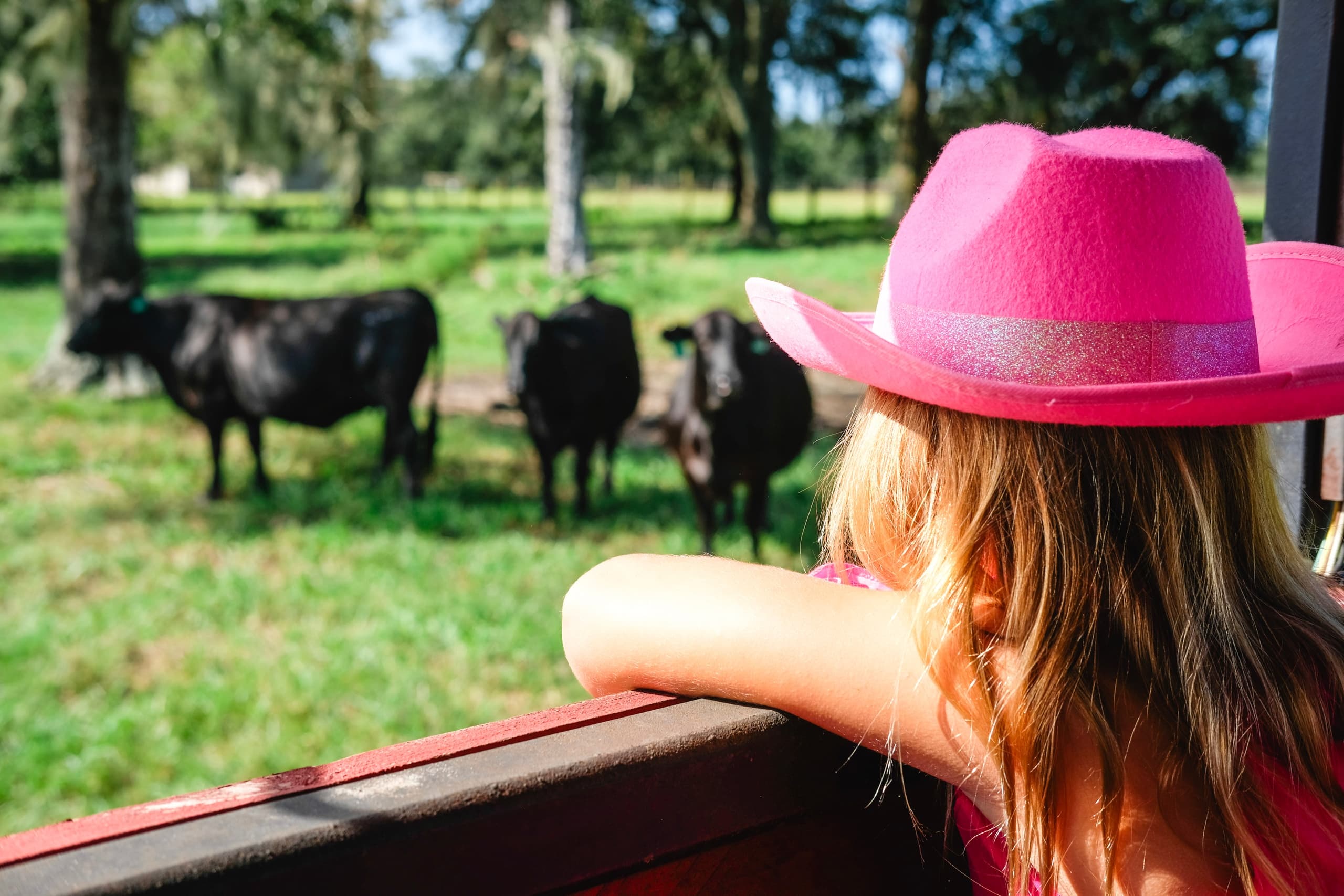 Memorable Children's Birthday Parties at Diamond D Ranch, Jacksonville