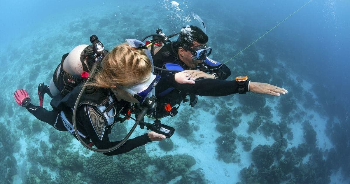 Scuba Diving in the Ocean: PADI Advanced Open Water at Scuba Sur